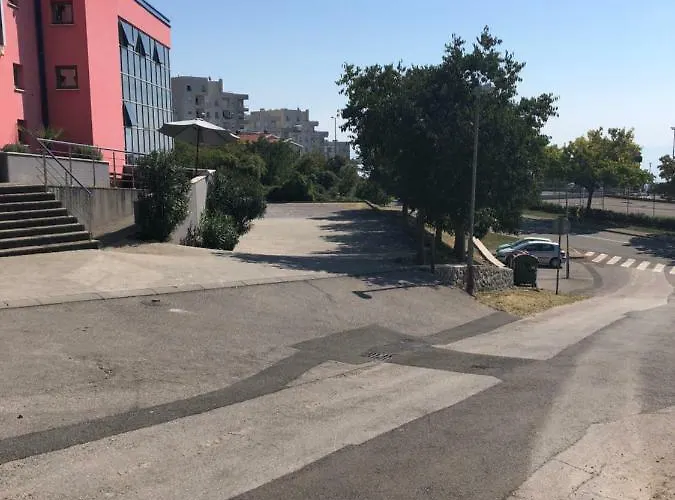 Ceska Beseda רייקה