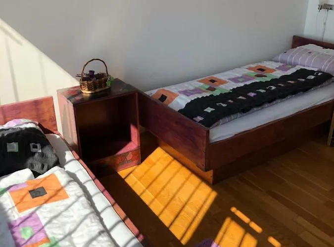 Ceska Beseda * רייקה