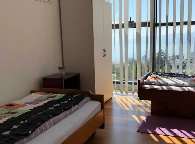 Ceska Beseda רייקה