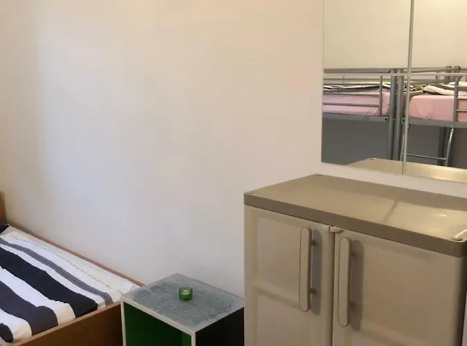 Ceska Beseda רייקה